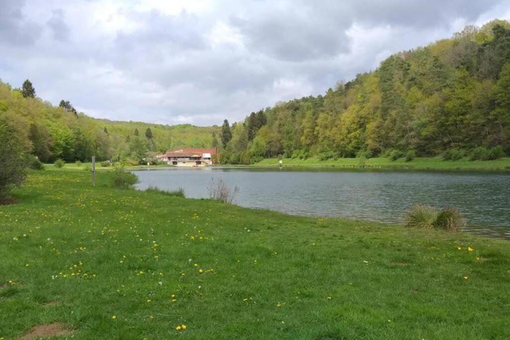 Le repaire des belettes Vallée de Rabais Virton Exterior foto